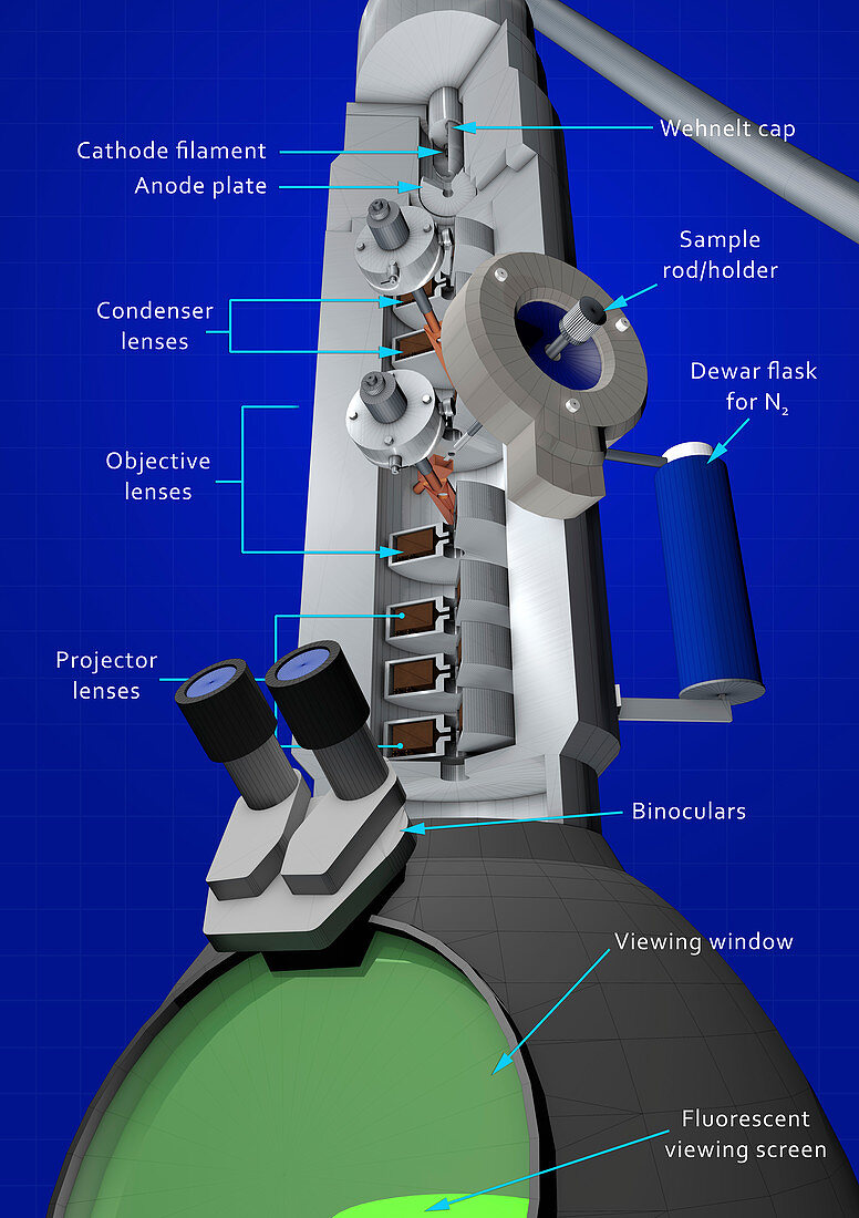 Transmission electron microscope (TEM), illustration