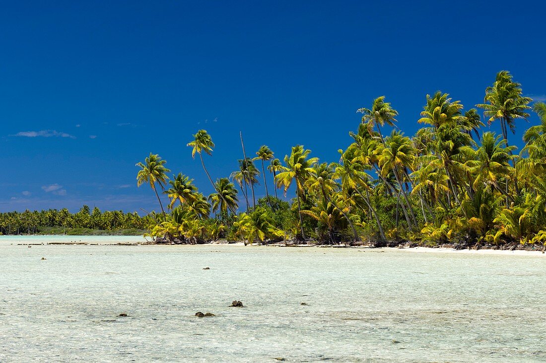 Tropical beach, French Polynesia
