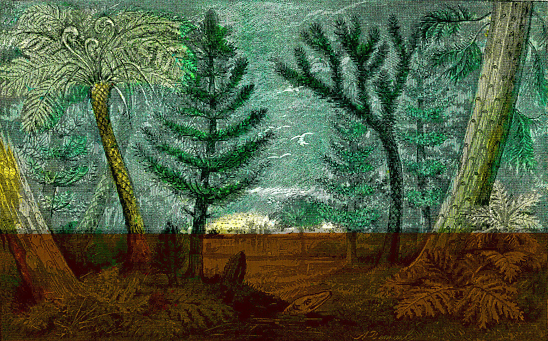 Prehistoric woodland, 19th Century illustration