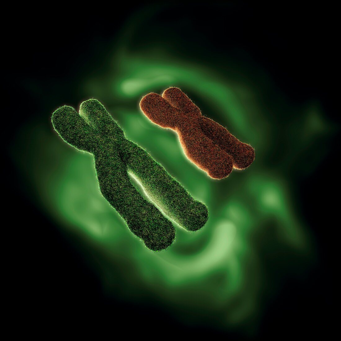 Chromosome translocational defect, illustration