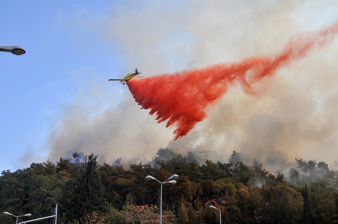 Haifa wildfire 2016