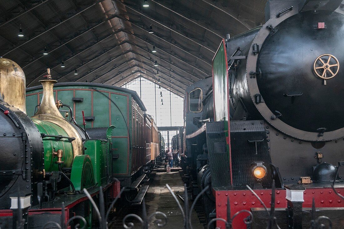 Steam locomotives in a railway museum