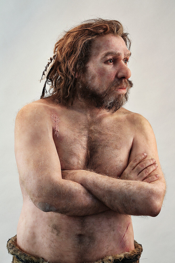 Neanderthal model