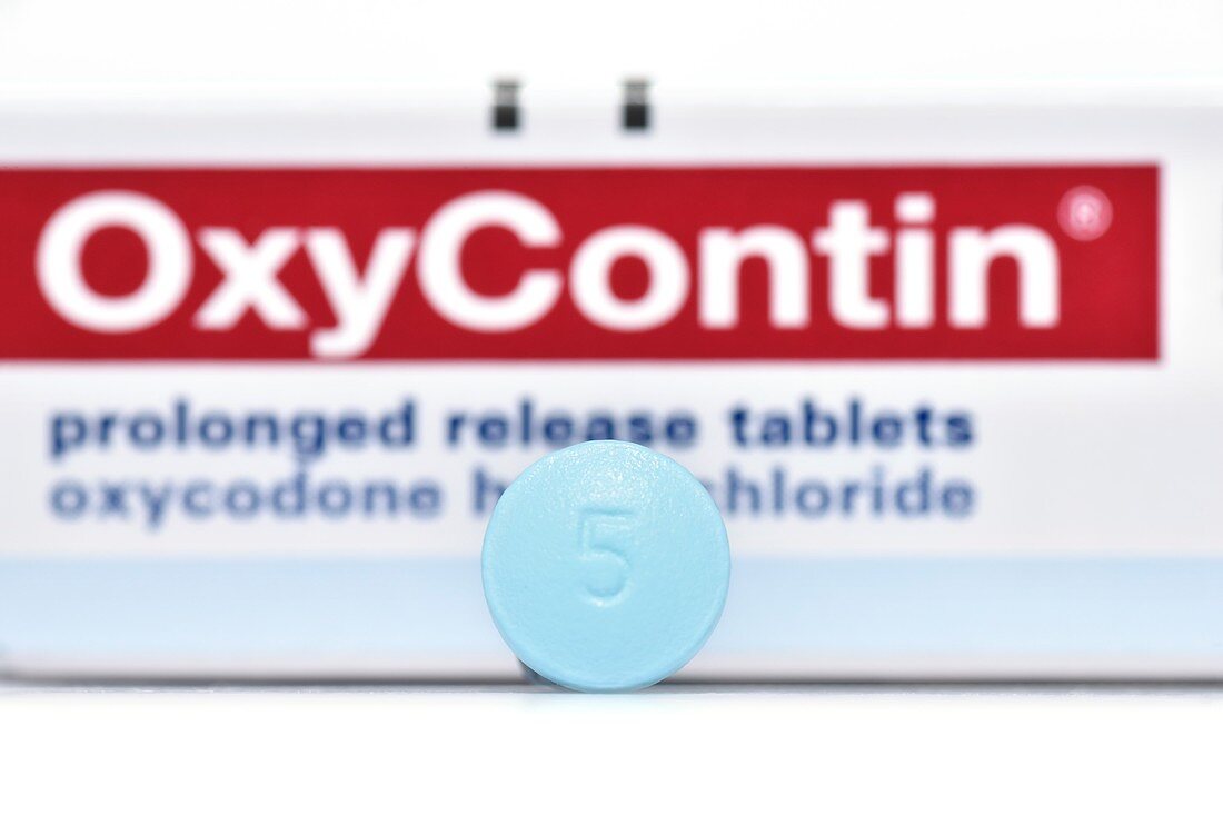 OxyContin pain-relief drug tablet