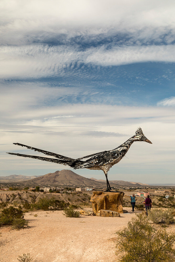 Recycled Roadrunner, New Mexico, USA