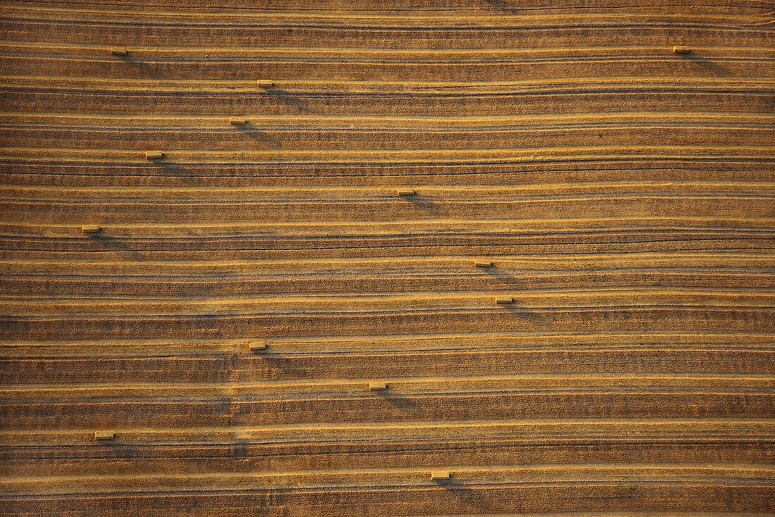 Harvested wheat field, Spain, aerial photograph