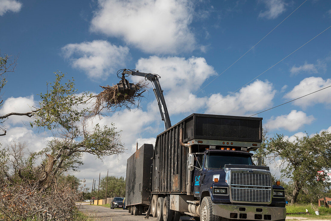 Hurricane Harvey cleanup, Texas, USA