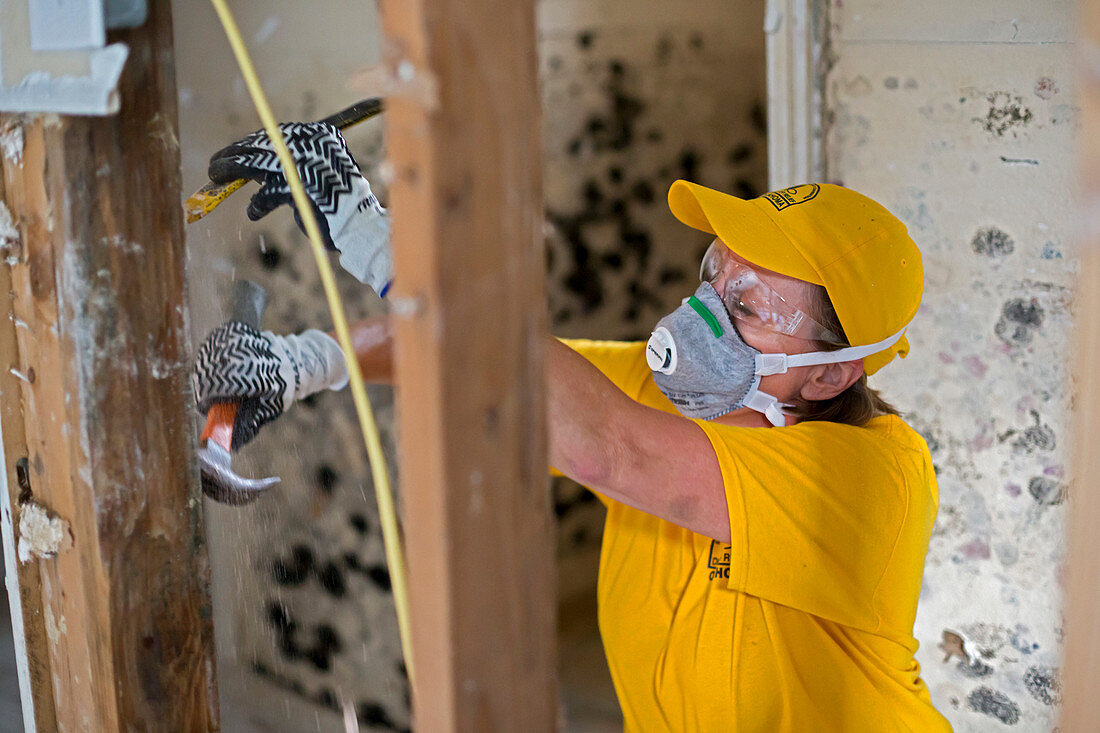 Hurricane Harvey cleanup, Texas, USA