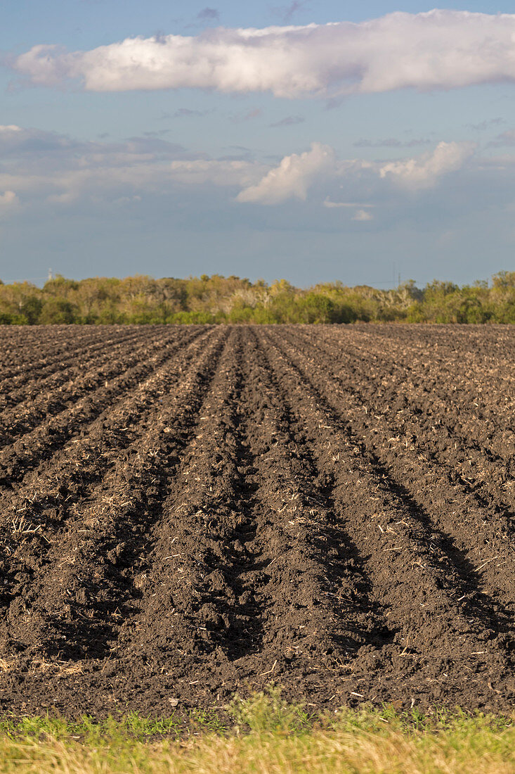 Ploughed field, Texas, USA