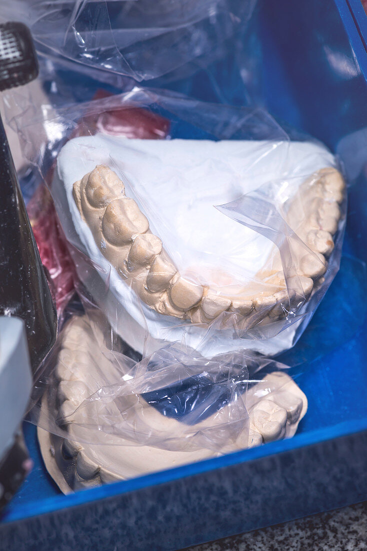 Dental prosthesis in plastic bag