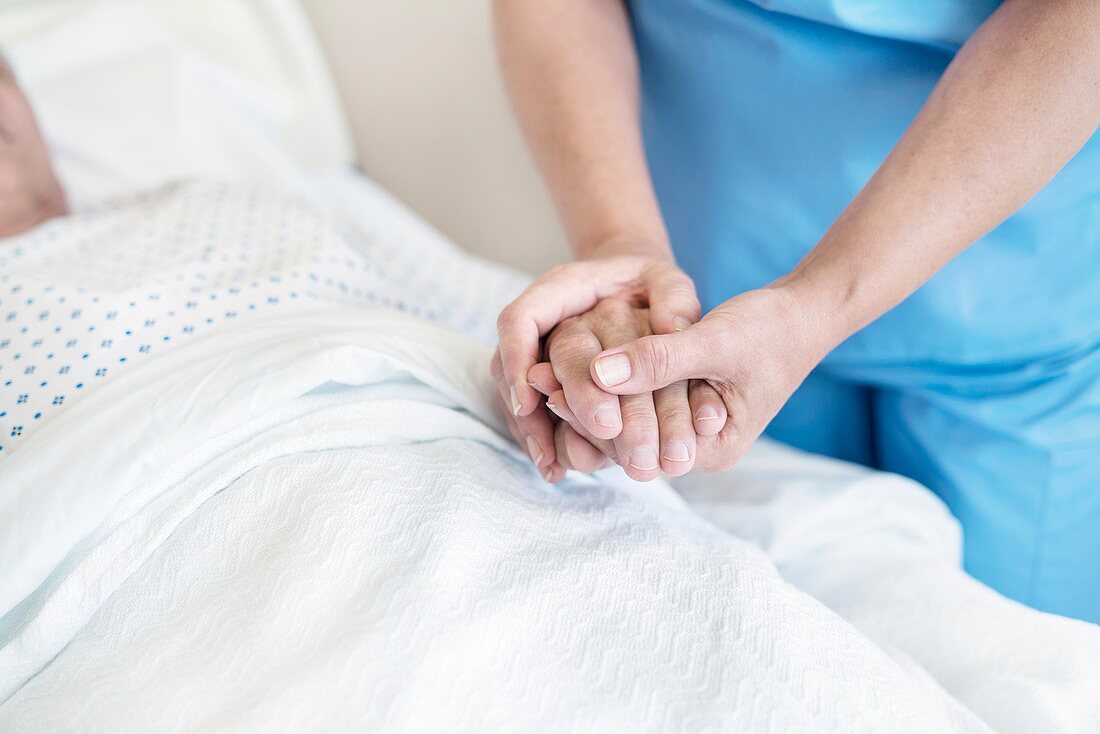 Nurse holding male patient's hand in hospital bed