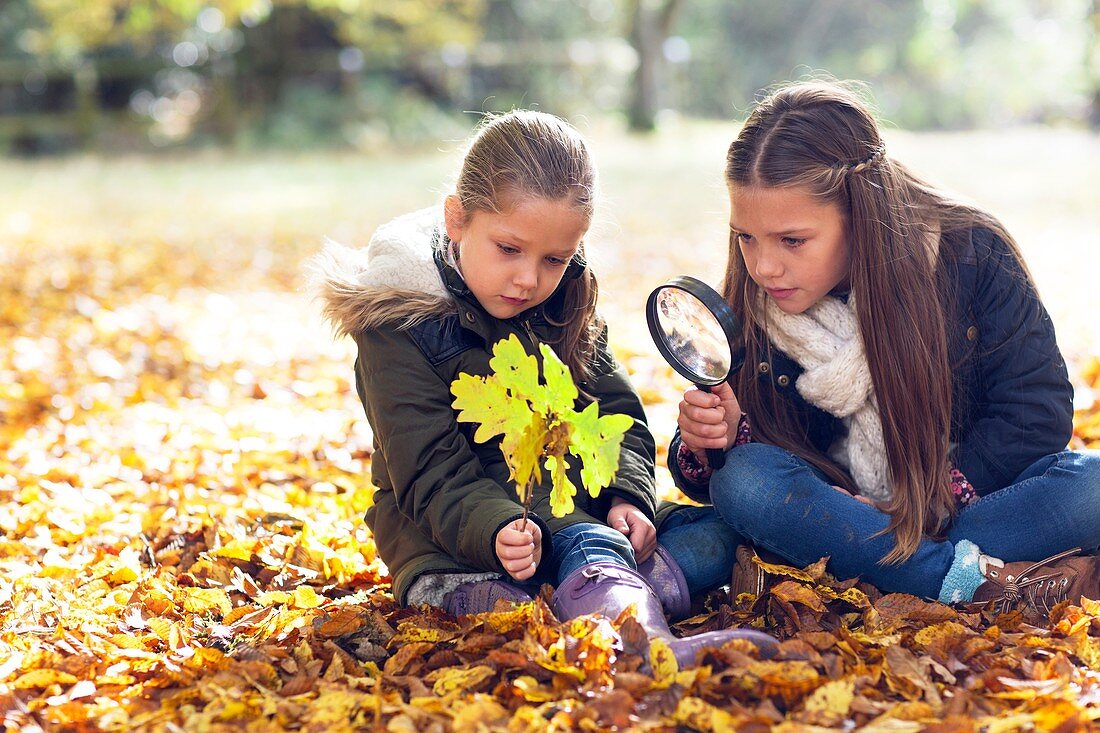 Girls collecting leaves