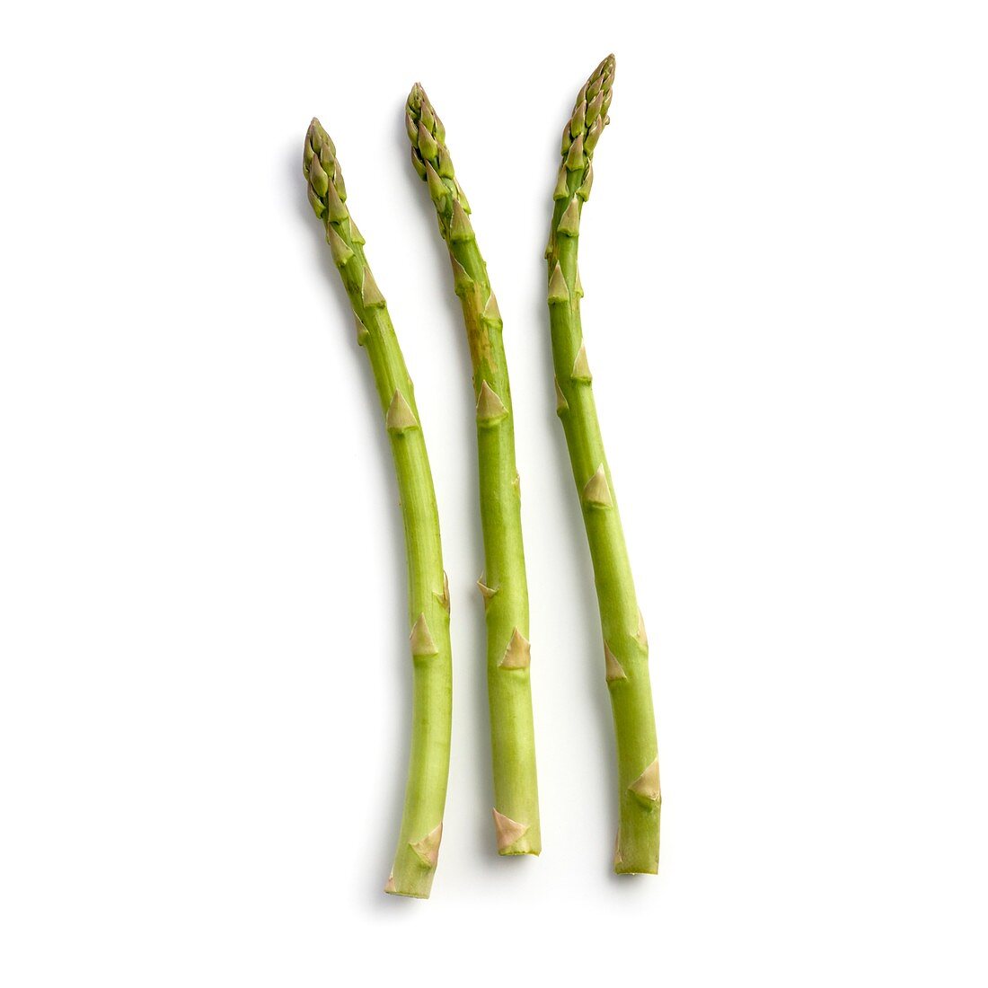 Asparagus