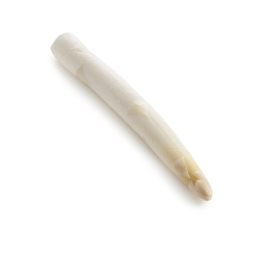 White asparagus