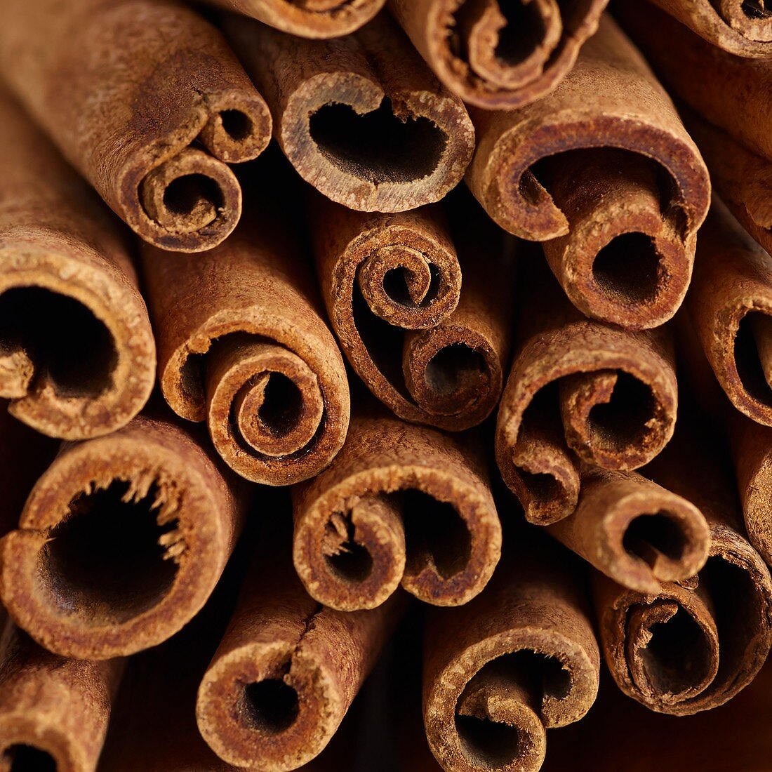 Cinnamon sticks in bundle