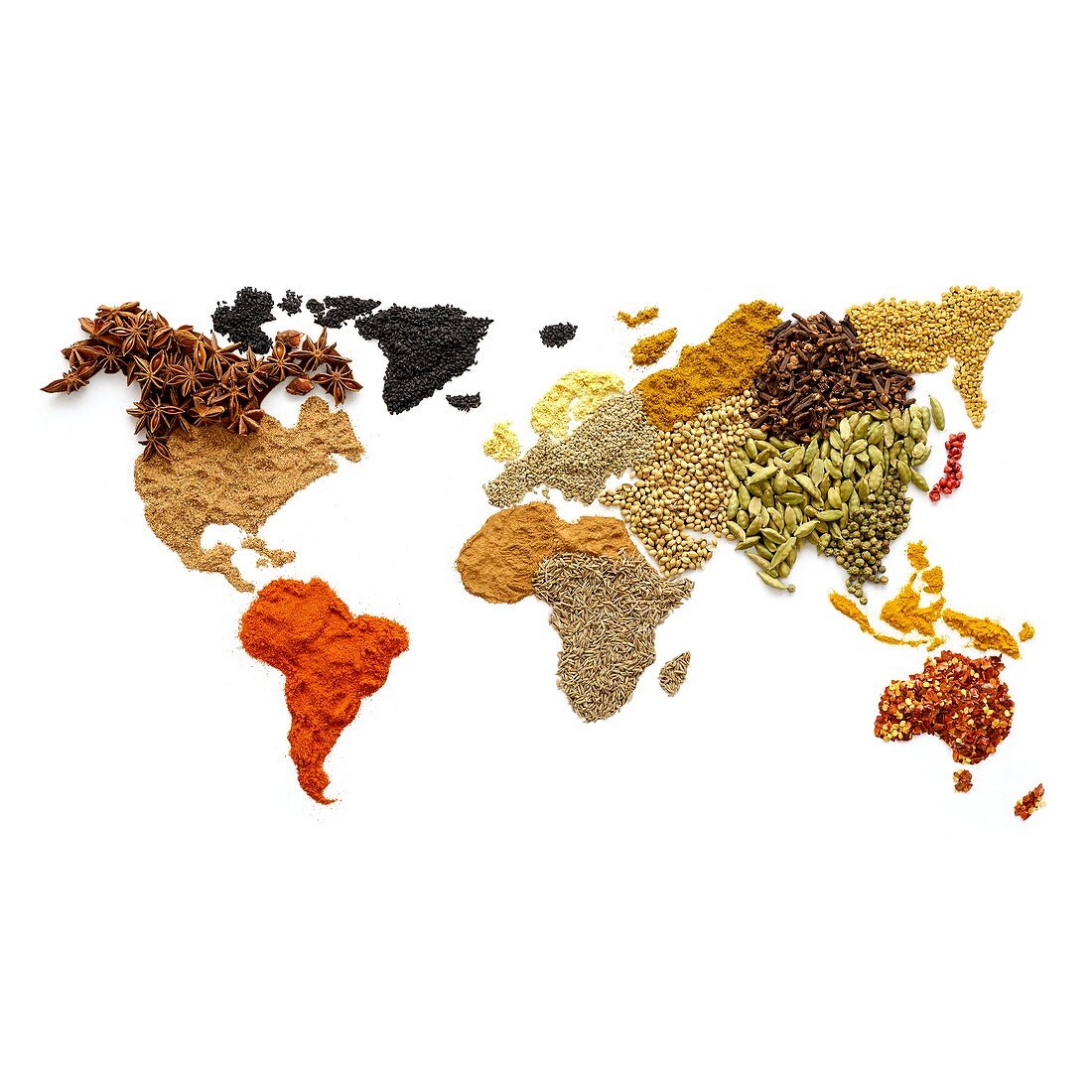 Dried spices in world map shape