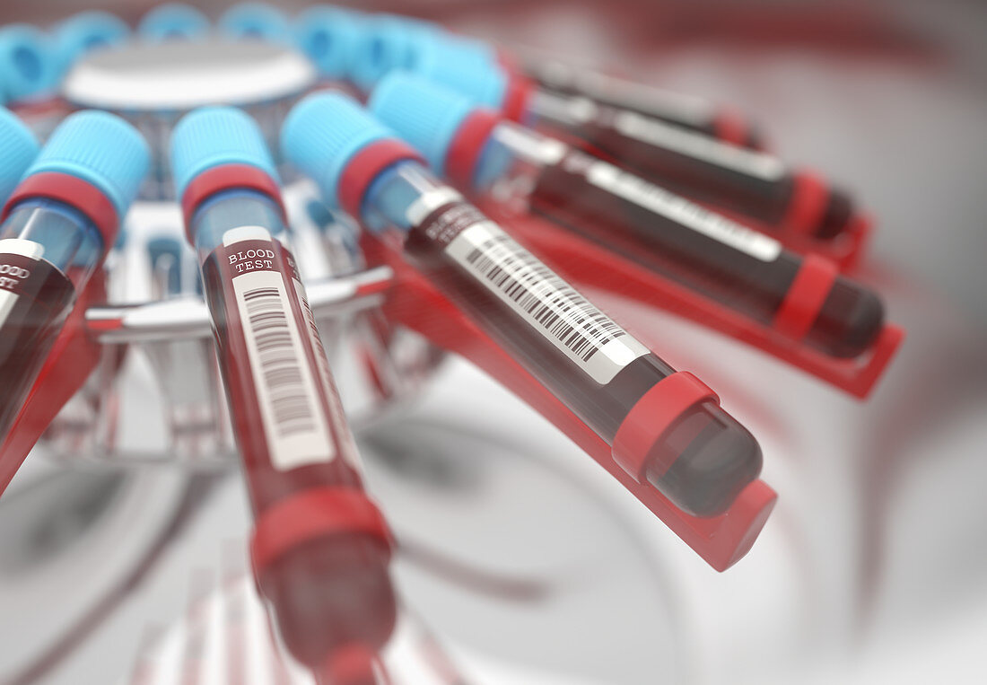 Blood samples in centrifuge, illustration