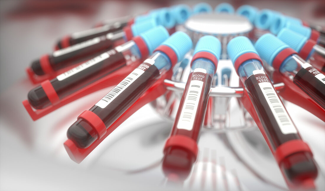Blood samples in centrifuge, illustration
