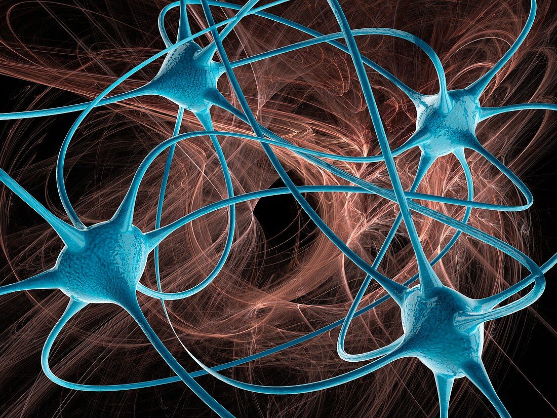 Four-cell neural network, illustration