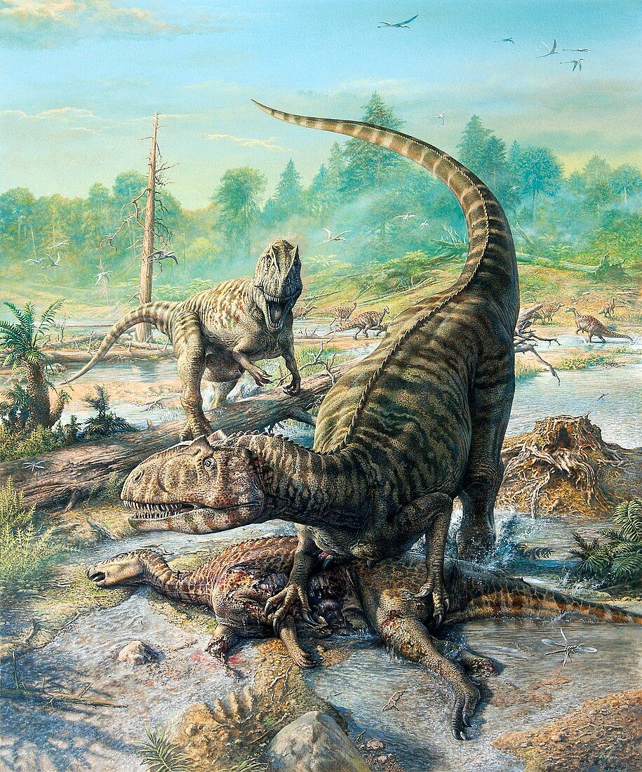 Allosaurus dinosaur with its prey, illustration