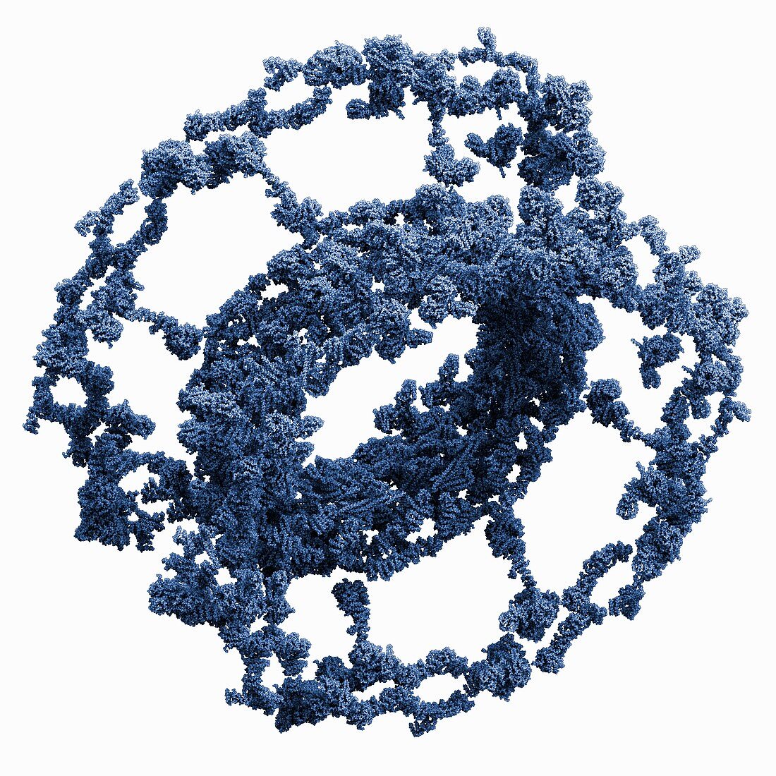 Nuclear core complex, molecular model