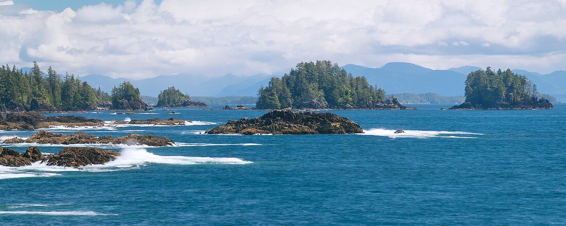 Coastal landscape, Vancouver Island