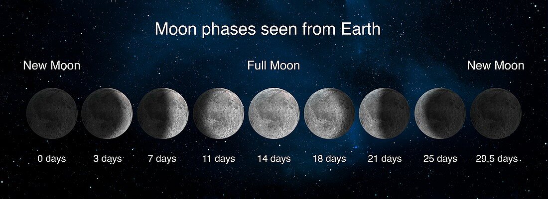 Phases of the Moon, illustration