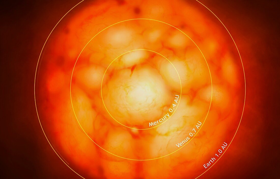 Sun as a Red Giant