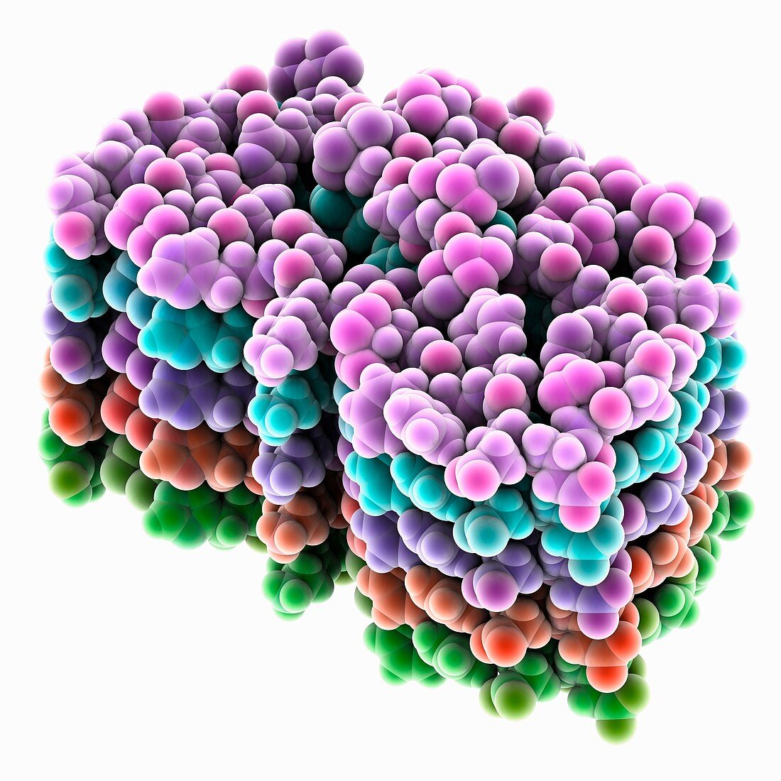 Amyloid-beta protein, molecular model