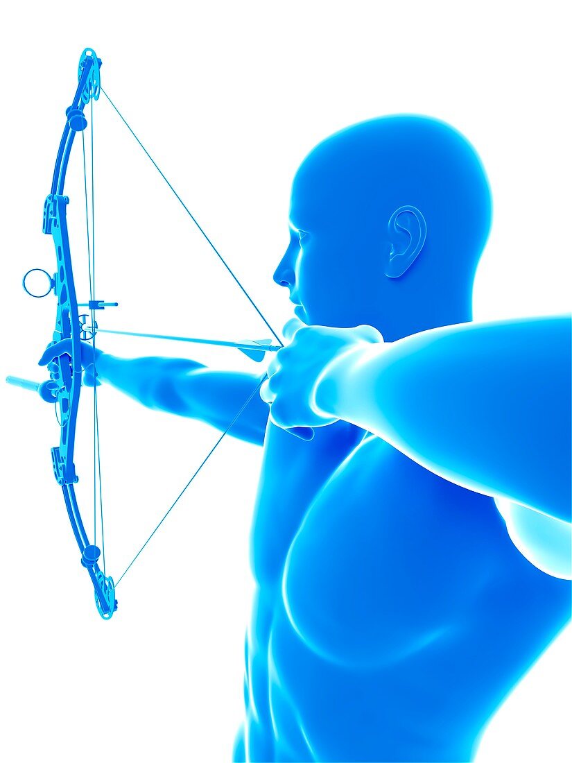 Archer, illustration