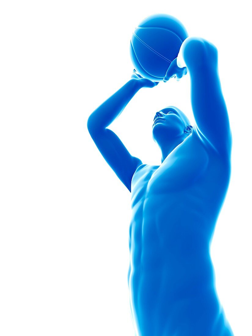 Basketball player holding ball, illustration