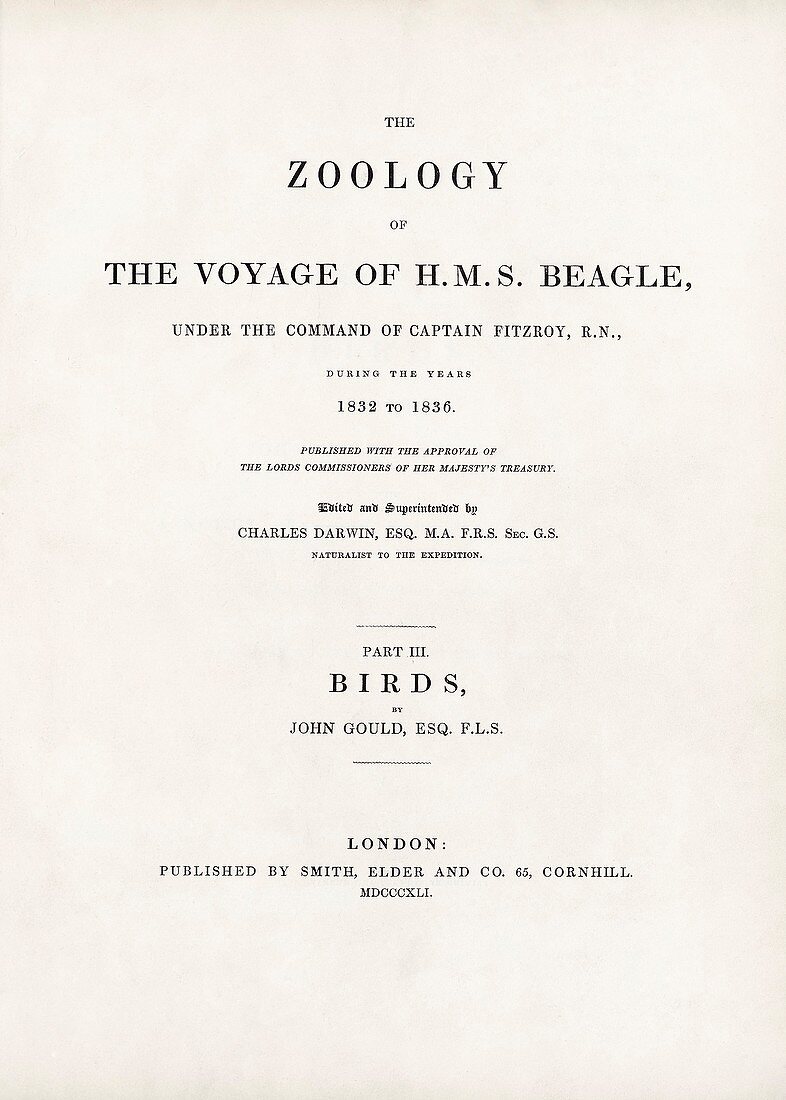 'Birds' (1841), 'The Zoology of the Voyage of HMS Beagle'