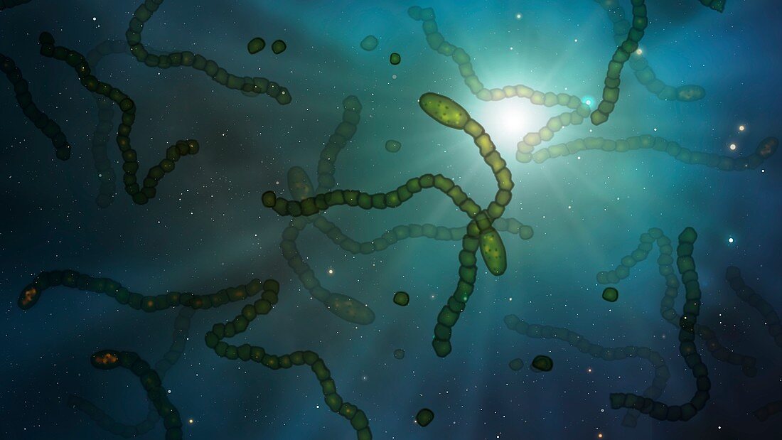 Microbes in space, illustration