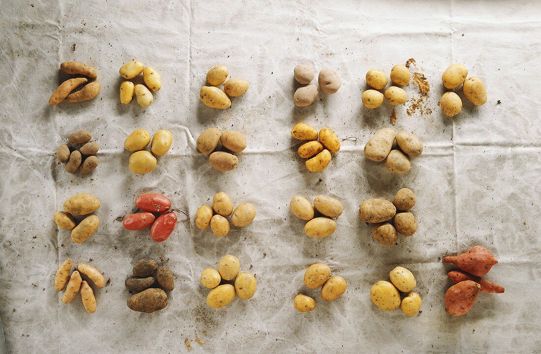 Many Assorted Potatoes
