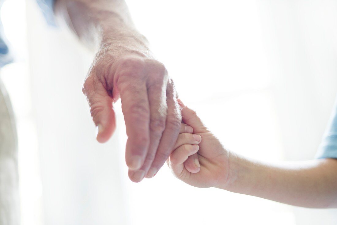 Child holding grandparent's hand