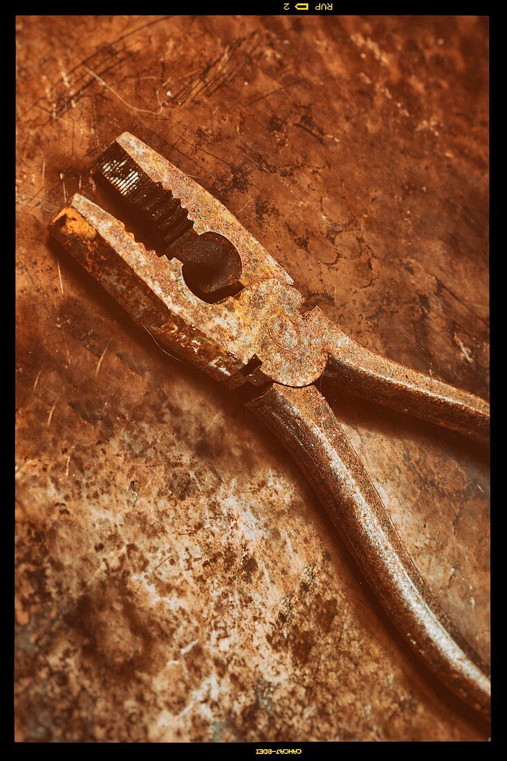 Rusty pliers