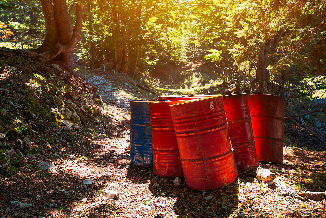 Toxic waste barrels in forest