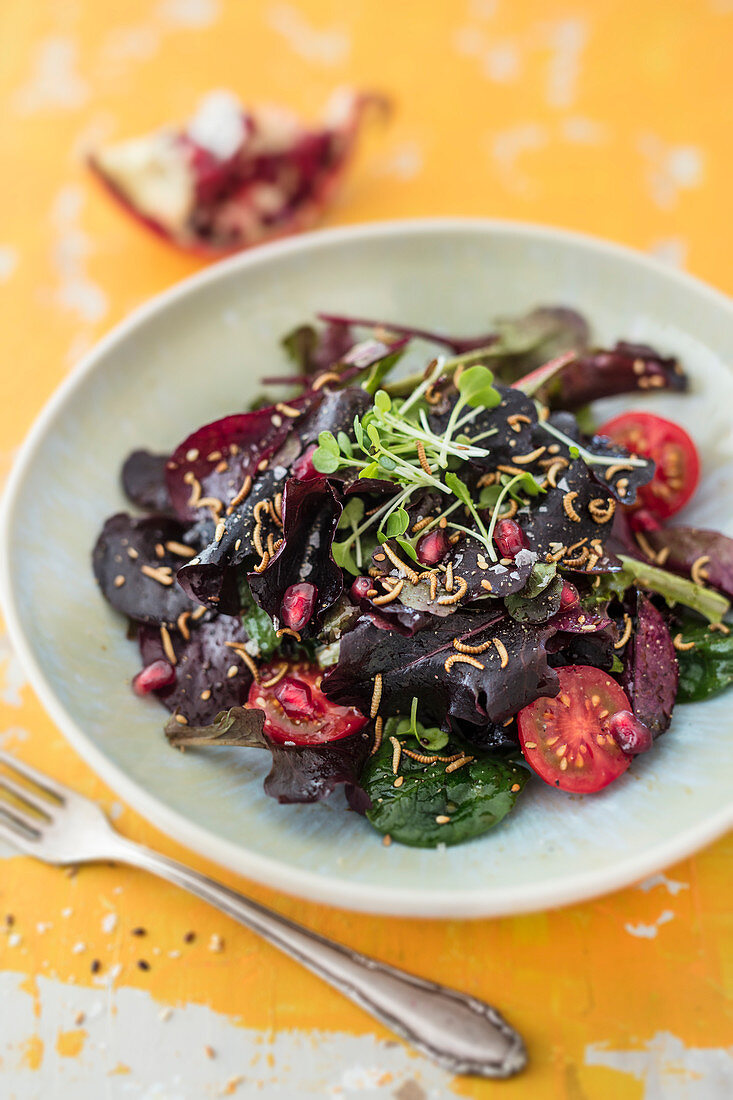 Spicy lettuce with dried and roasted mealworms, pomegranate seeds and sesame seeds