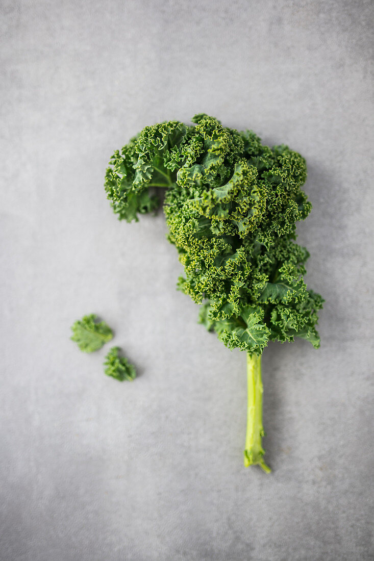 Kale on a grey concrete background