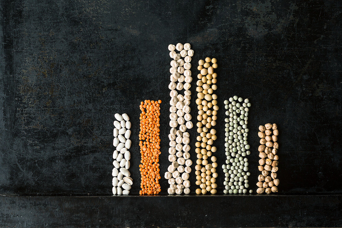 Legumes depicting their protein content