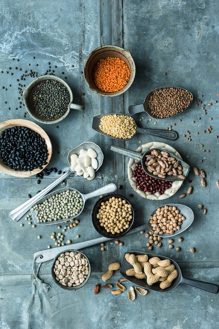 an arrangement of various legumes (lentils, beans, peas and lupines)