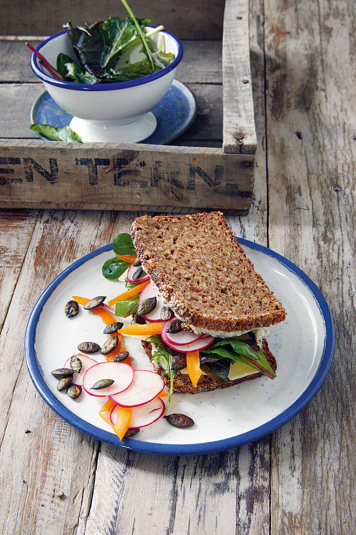 A sandwich with cheese, radishes, peppers and pumpkin seeds