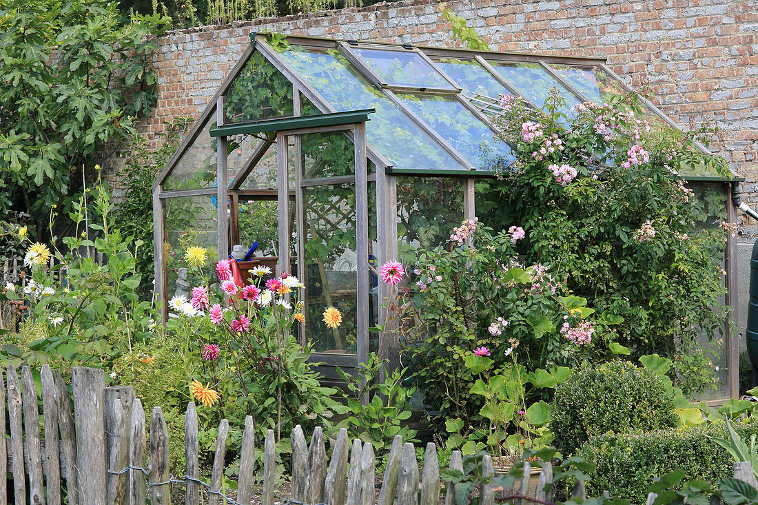 Paling fence around cottage garden with greenhouse