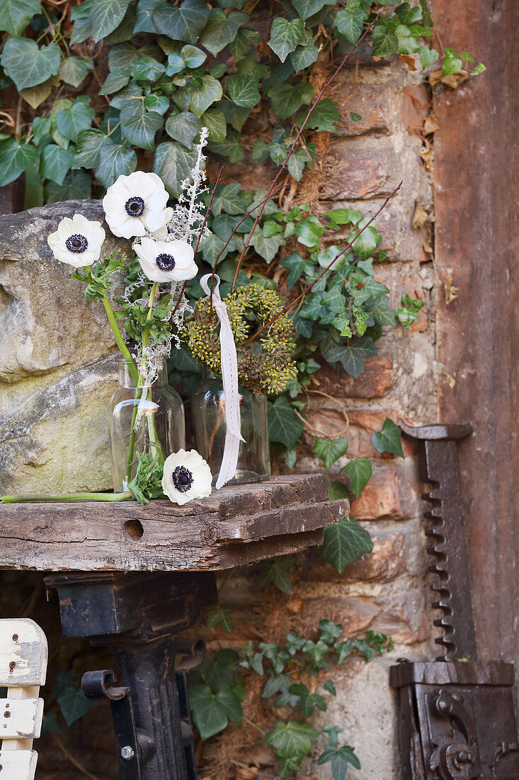 Anemonen und Efeubeeren auf einer alten Werkbank an der Hauswand