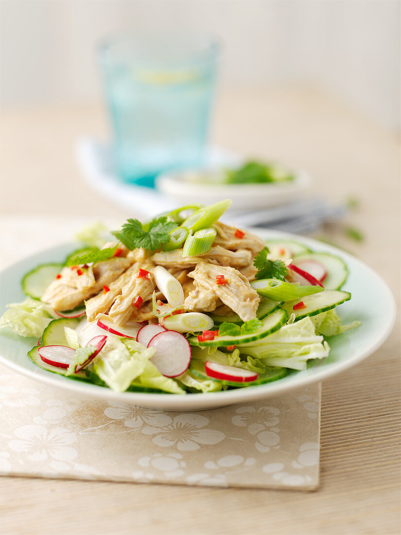 Bang Bang Hähnchensalat mit Radieschen und Gurke (Asien)