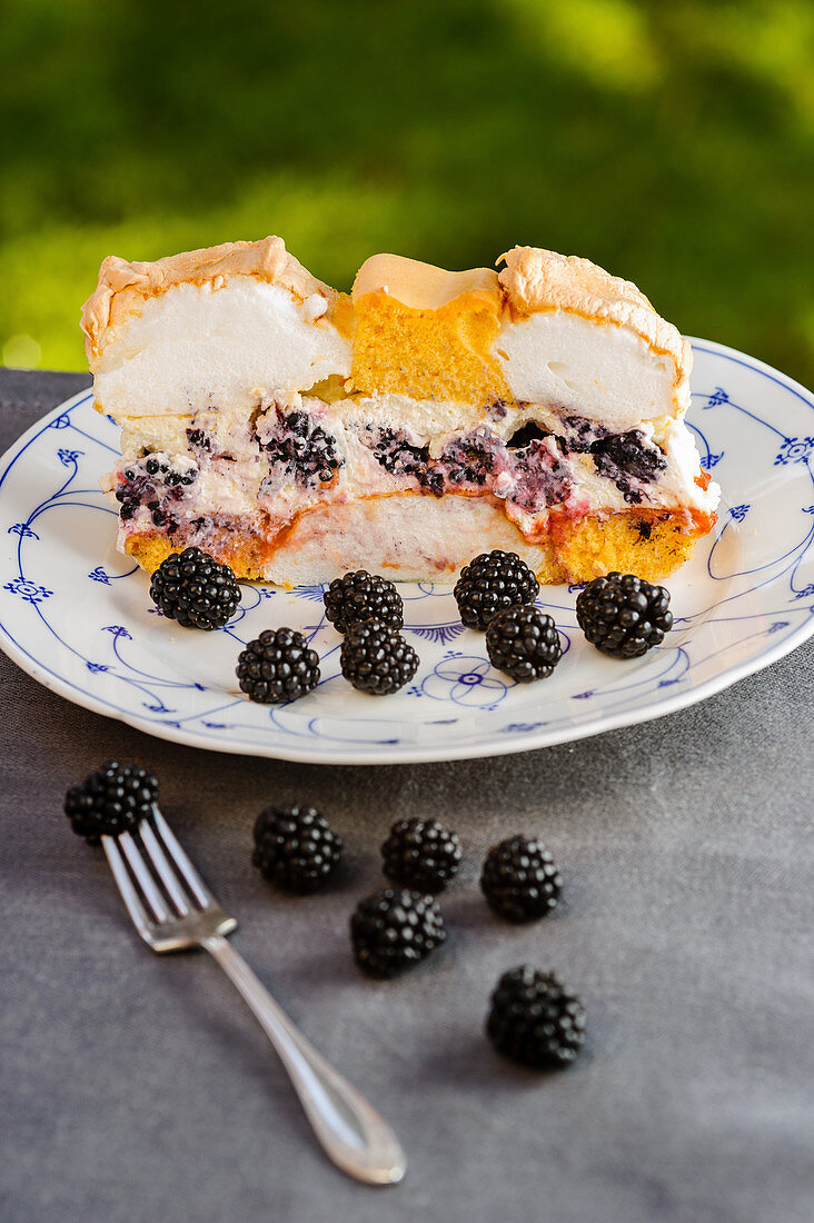 Kardinalschnitte (sponge and meringue cream slice) with blackberries