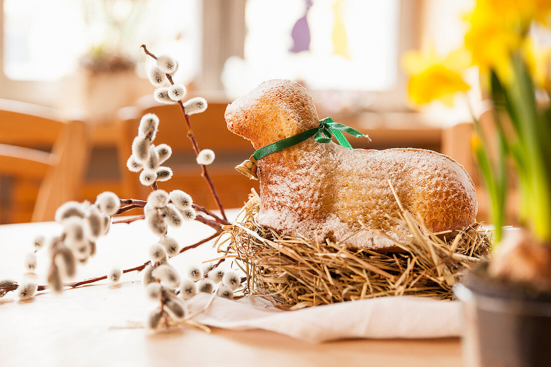Easter lamb cake on a straw nest, decorated with pussy willow branches