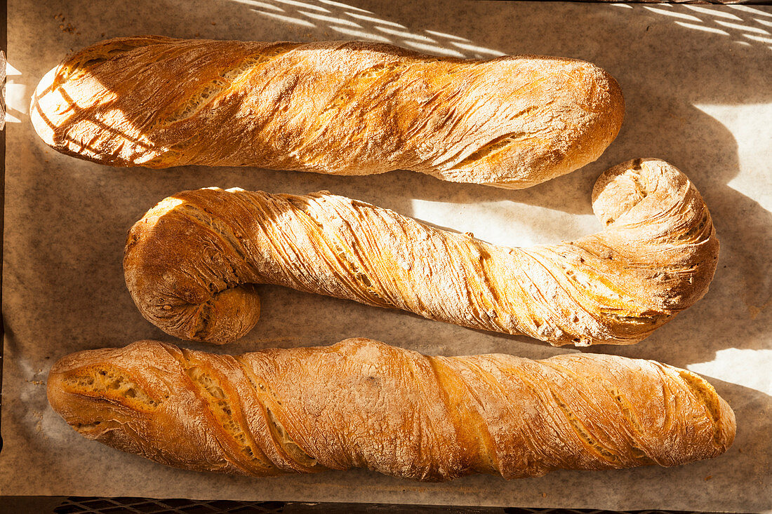 Three freshly baked baguettes on a baking sheet (top view)