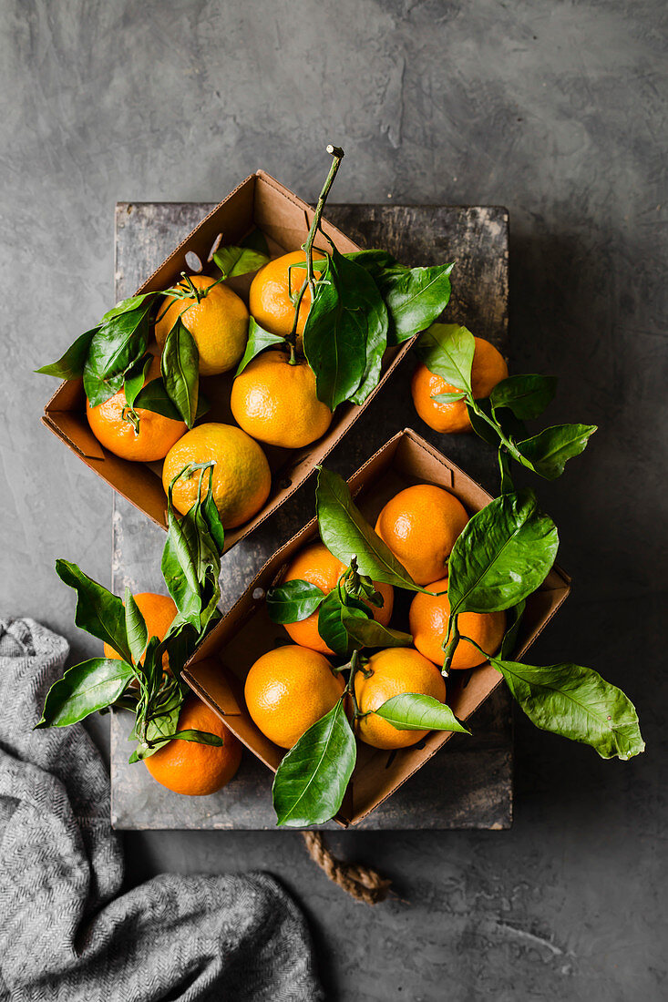 Tangerines with stem and leaves