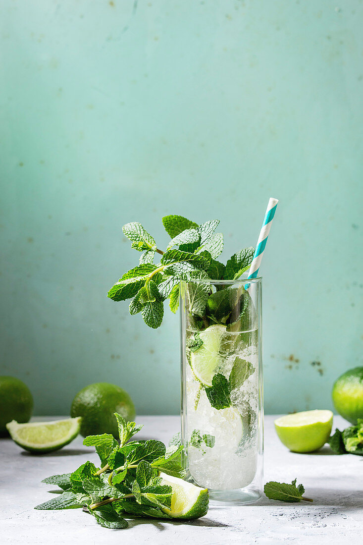 Glass of classic mojito cocktail with fresh mint, limes, crushed ice, retro cocktail tubes with ingredients above